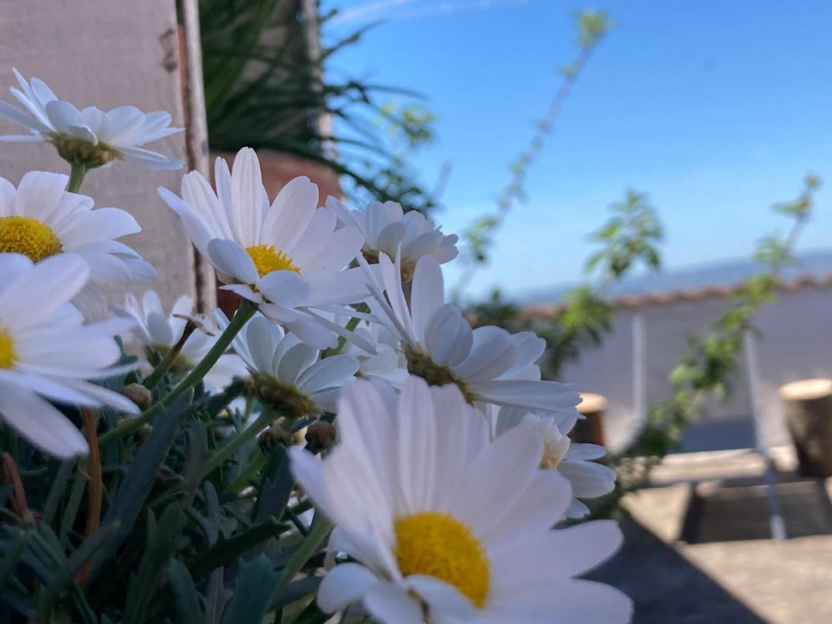 Canduleri Orgosolo Buitenkant foto