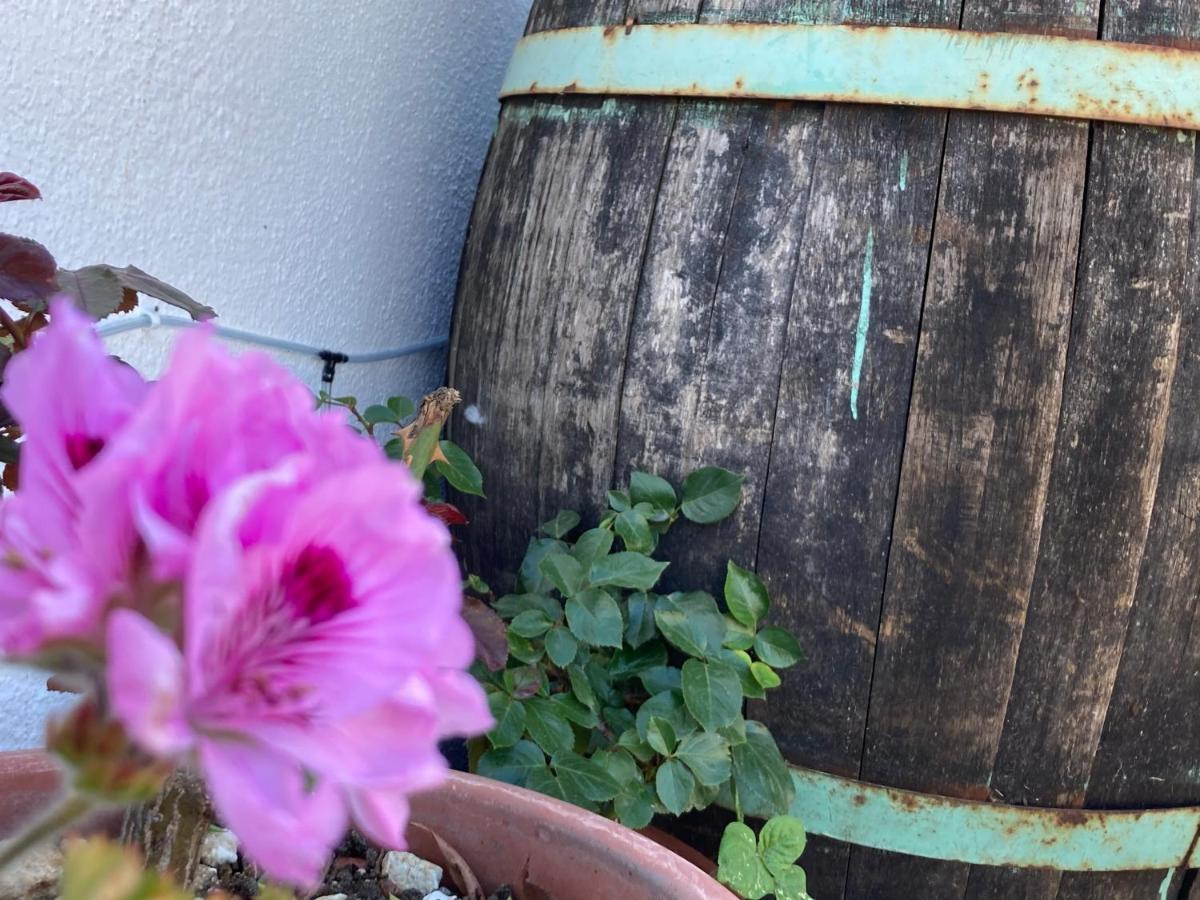 Canduleri Orgosolo Buitenkant foto
