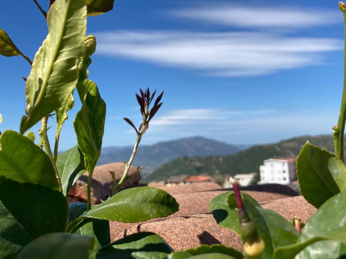 Canduleri Orgosolo Buitenkant foto